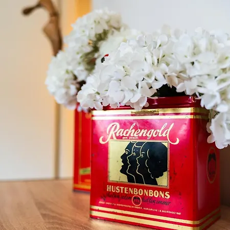 アパート 1 Bedroom - Zentral - Parkhaus - Business - Kaffee - Netflix - Smart Tv - Kueche *