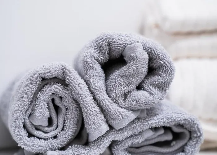 Apartament 1 Bedroom - Zentral - Parkhaus - Business - Kaffee - Netflix - Smart Tv - Kueche